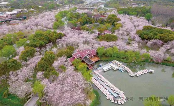 测：楼盘优缺点分析能不能买一文读懂龙8头号玩家2024招商时代乐章评(图13)