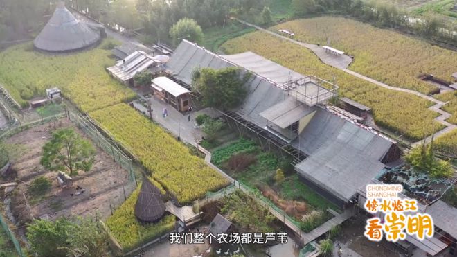 ”啊“滧”摇到崇明七滧河long88龙8国际“滧(图2)