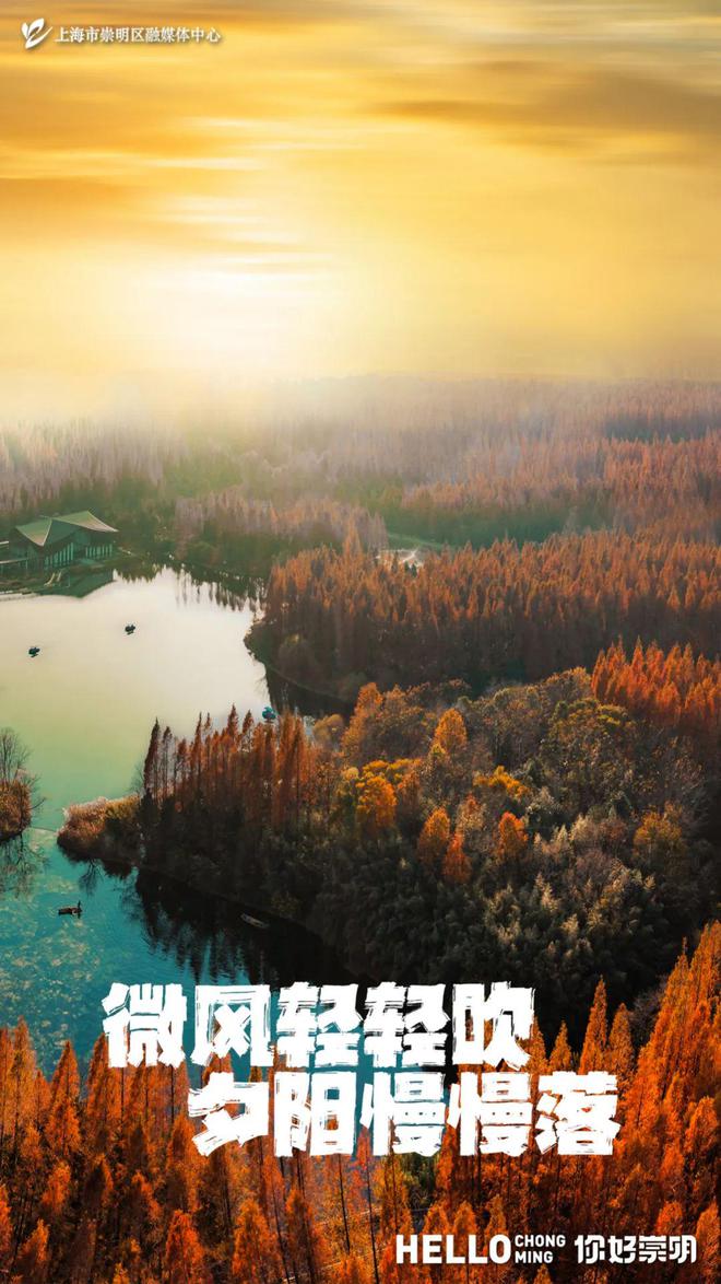 ”啊“滧”摇到崇明七滧河long88龙8国际“滧(图12)